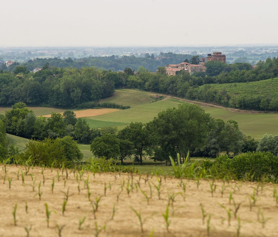 Arriva a Chieri il Festival del Paesaggio: 8 giorni e oltre 30 eventi legati alle peculiarità del territorio