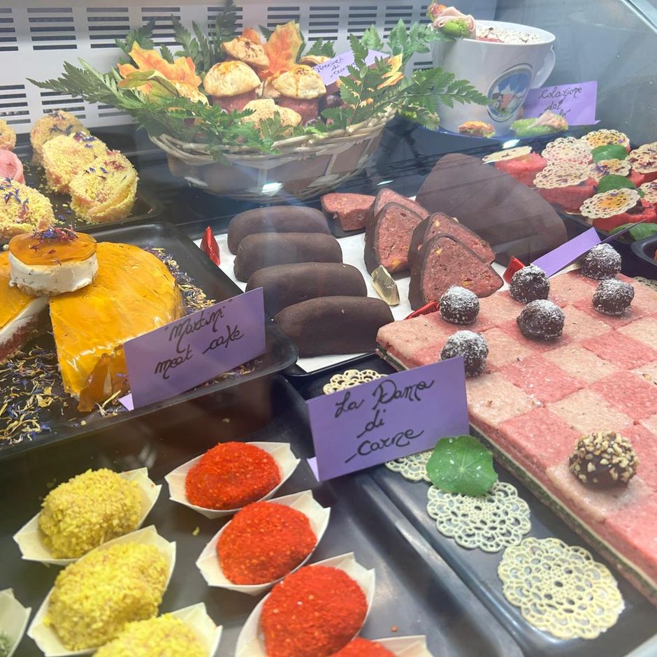 Dalle ostriche ai dolci di carne: l’esplosione di sapori a Terra Madre 2024 [FOTO]