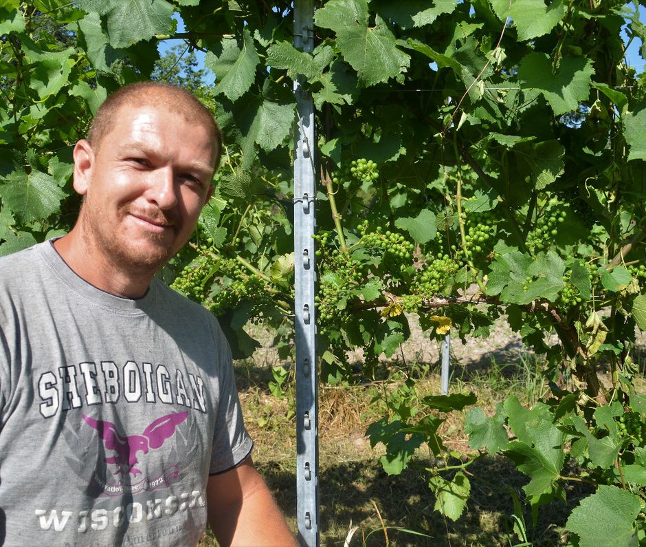 Dalle vigne di Casciago nasce il primo spumante rosé della provincia di Varese