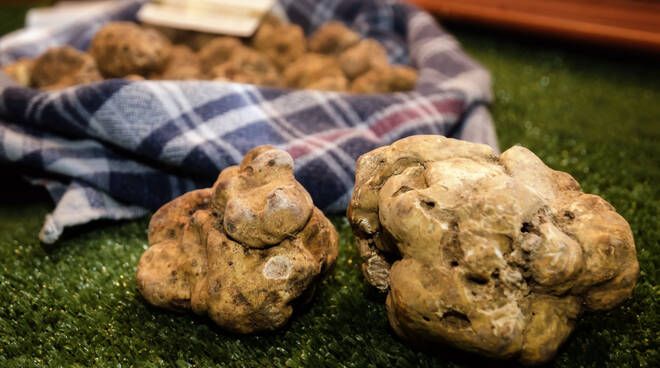 Fiera del Tartufo di Montechiaro
