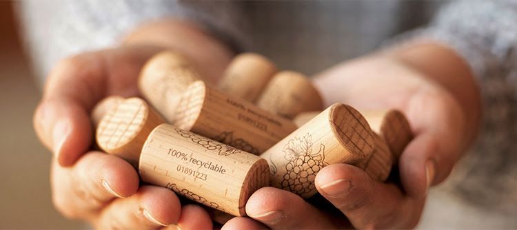 Mai più brutte sorprese quando si apre un vino arriva: iononsoditappo.it