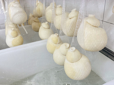 Caciocavallo molisano