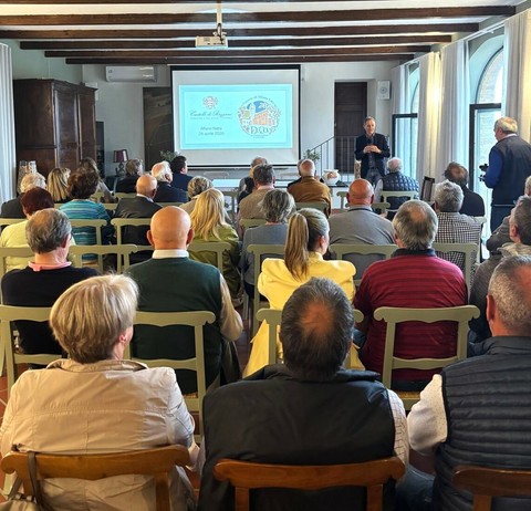L’olio torna in Monferrato: ad Alfiano Natta nasce la De.Co. degli uliveti