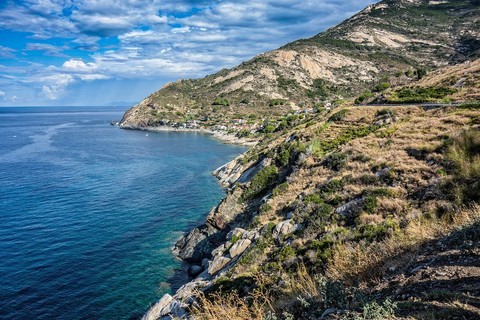 Alla scoperta dei tesori subacquei dell'Isola d'Elba: immersioni nel cuore del Mediterraneo
