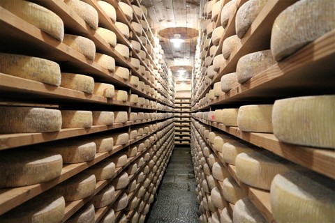 Valcasotto, il formaggio dei re