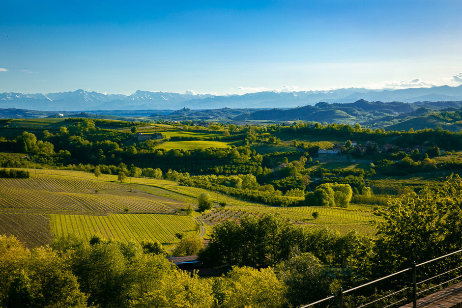Piemonte da mangiare: Langhe del Barolo e del Tartufo