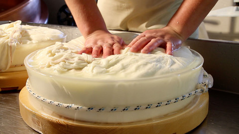Fontina DOP: un nuovo disciplinare, più flessibilità in stalla e sostenibilità in filiera. Senza cambiare il sapore di sempre.