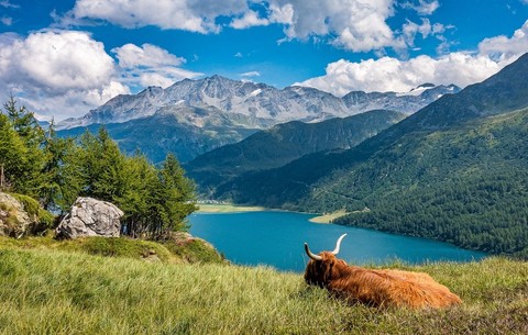 Tra laghi e vette: la geografia unica di Sils Maria