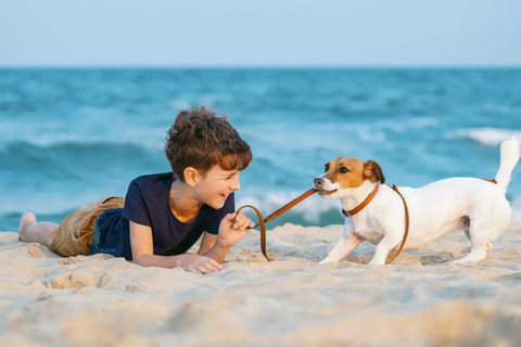In vacanza con Fido