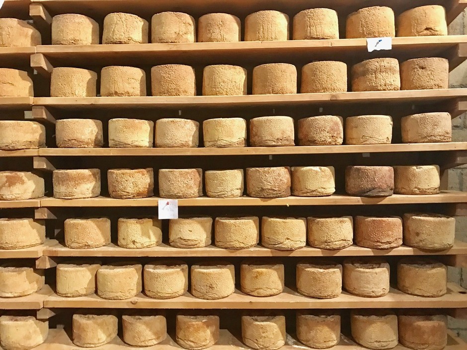 Cheese 2025 si avvicina: 14 formaggi da scoprire (e come abbinarli al meglio) per arrivare preparati  a Bra, dal 19 al 22 settembre