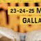 Urban Lake Street Food Festival raddoppia a Gallarate