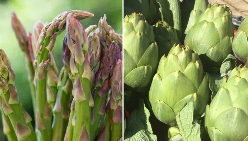 Asti: asparagi e carciofi protagonisti della tavola nel mese di maggio