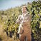 Vitaliano Maccario: &quot;Innovazione, cambi climatici e incremento della percezione dei nostri vini tra le 'sfide' che ci attendono&quot; [VIDEO]