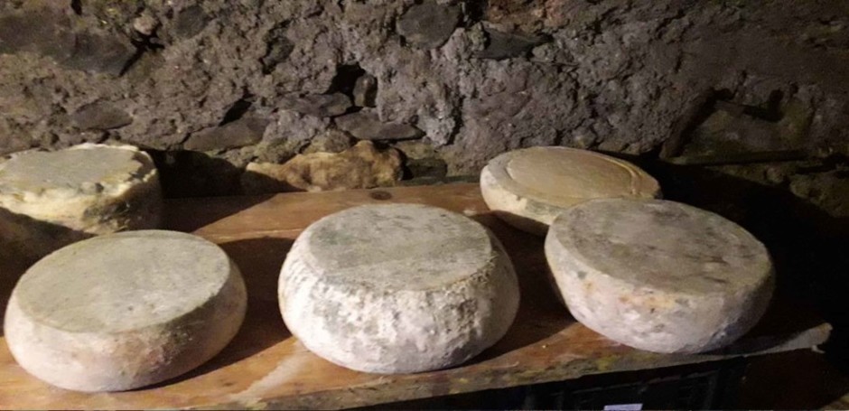 Alla Fiera Nazionale BEE la degustazione di formaggi di montagna con Campagna Amica