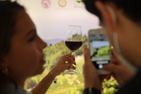 Piemonte con Monferrato e Langhe, incoronato “Region of the year” 2025 ai Wine Travel Awards di Londra