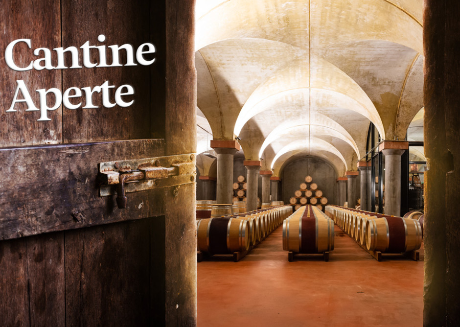 Canton Ticino: &quot;Cantine  aperte&quot;, per conoscere i produttori e i loro segreti, lasciandosi contagiare dalla passione che mettono nel produrre vini di qualità