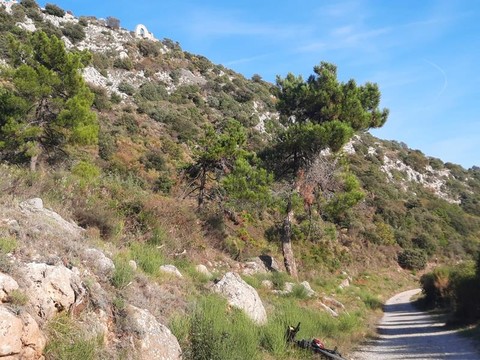 Sentieri della Costa Azzurra: la “piste” che da Tourrettes Levens conduce ad Aspremont  (Foto)